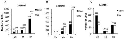 Human Macrophages Clear the Biovar Microtus Strain of Yersinia pestis More Efficiently Than Murine Macrophages
